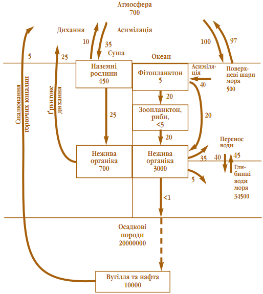 Мал. 6.4. Масові потоки вуглецю в наземному і морському кругообігу.[br]Всі величини зазначені в млрд. т 