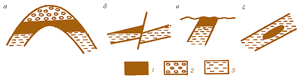 Мал. 8.10. Типи пластових покладів нафти і газу: а – склепінний; б – тектонічно екранований; в – стратиграфічно екранований; г – літологічно екранований; 1 – нафта; 2 – газ; 3 – вода 