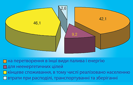 Мал. 8.31. Структура витрат природного газу за напрямами споживання в 2001 р.