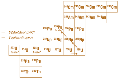 Мал. 7.36. Схема перетворення актиноїдів у торієвому й урановому паливних циклах 