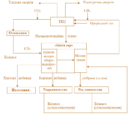 Мал. 2.23. Блок-схема гібрідної енергосистеми «Біосоляр» – ТЕЦ 