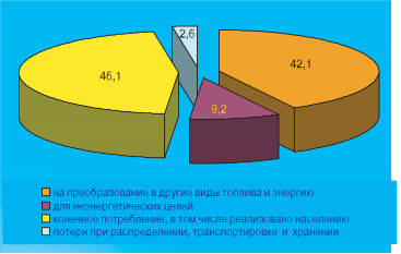 Рис. 8.32. Структура расхода природного газа по направлениям потребления в 2001 г.