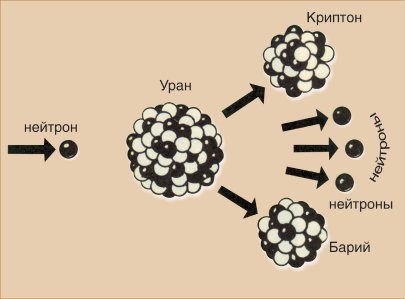 Рис. 9.1. Схема деления ядра