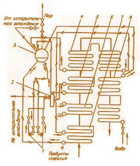 Рис. 2.17. Принципиальная схема котла КУ-80-3:  1 – циркуляционный насос; 2 – шламоотделитель; 3 – барабан; 4 – третья испарительная секция; 5– вторая испарительная секция; 6 – пароперегреватель; 7 – первая испарительная секция; 8 – экономайзер