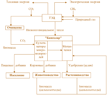 Рис. 2.23. Блок7схема гибридной энергосистемы «Биосоляр» – ТЭЦ